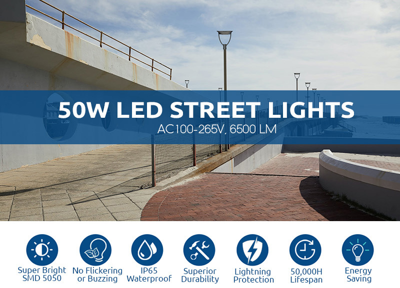 Seagull Series Double Arms 50W Led Street Light