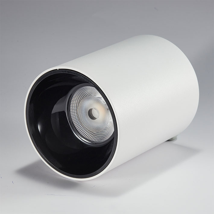 SZDAYTON Lighting Master D IP65 Series Cylinder Shaped 30W Downlight exterior led downlight surface mounted