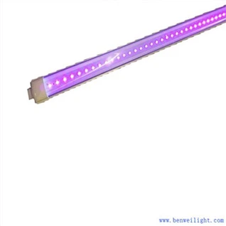 Lampu UV 395nm