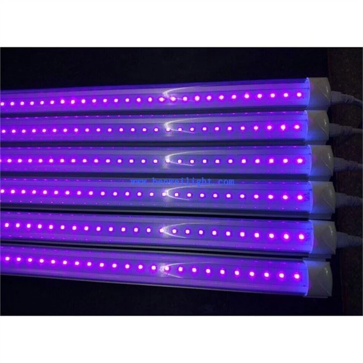 T8 UV Bulb