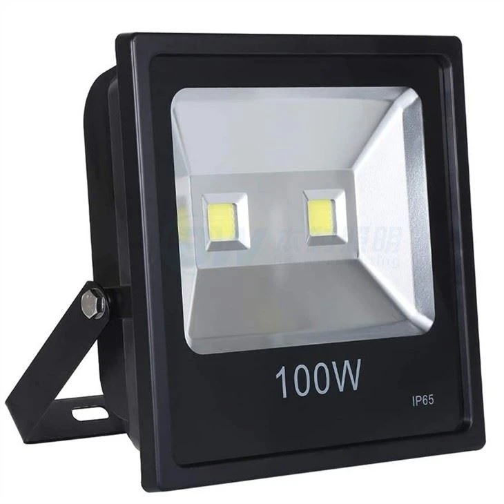 Defiant Motion Activated Security Light