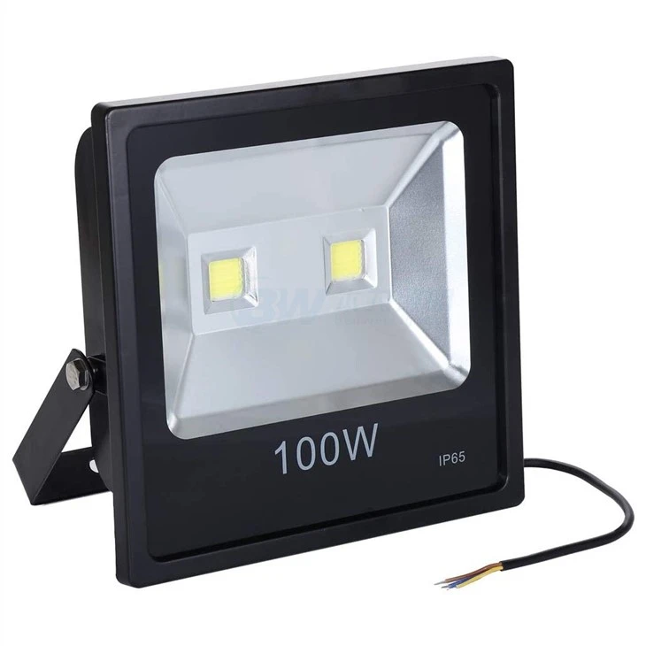 Defiant Motion Activated Security Light