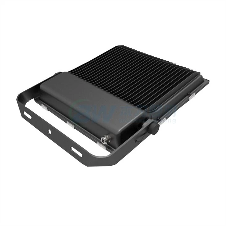 Defiant Motion Activated Security Light