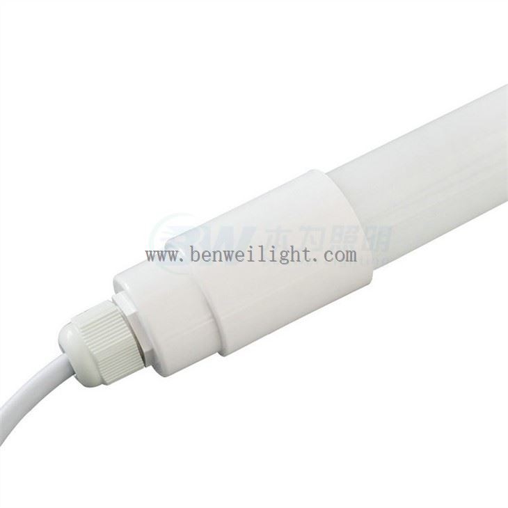 broiler lighting program