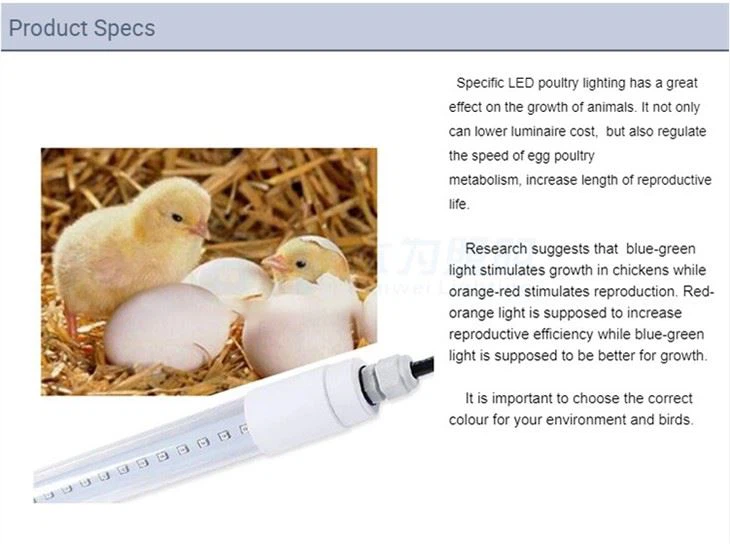 Lampu Reban Ayam Dipimpin