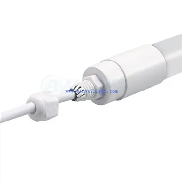 Pencahayaan Reban Ayam Untuk Pengeluaran Telur