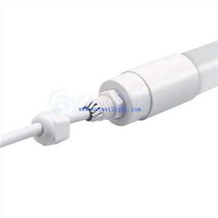 Pencahayaan di Rumah Ayam