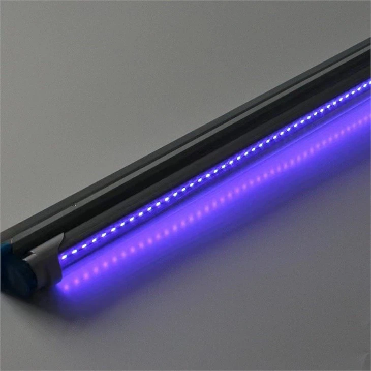 Perangkap Lalat Ultraviolet