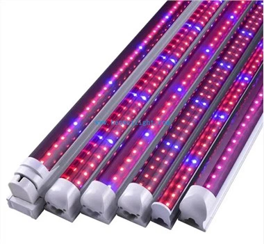 Lampu Tumbuh LED Spektrum Penuh Berkualiti Tinggi 240W