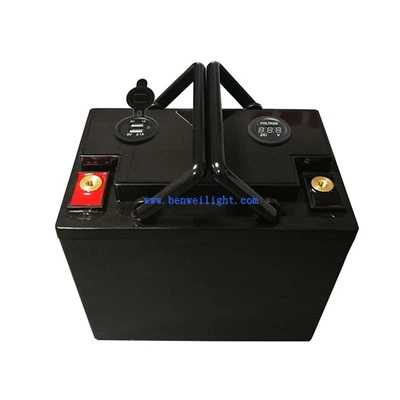 Bateri Litium Ion 12v 100ah