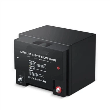 Bateri Litium Besi Fosfat 24 Volt