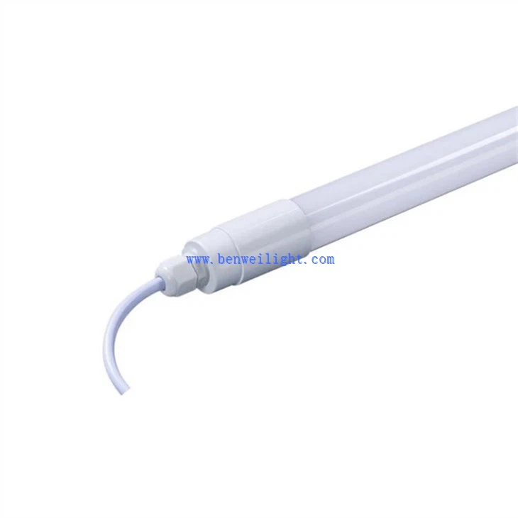 Cattle Lamp (1)