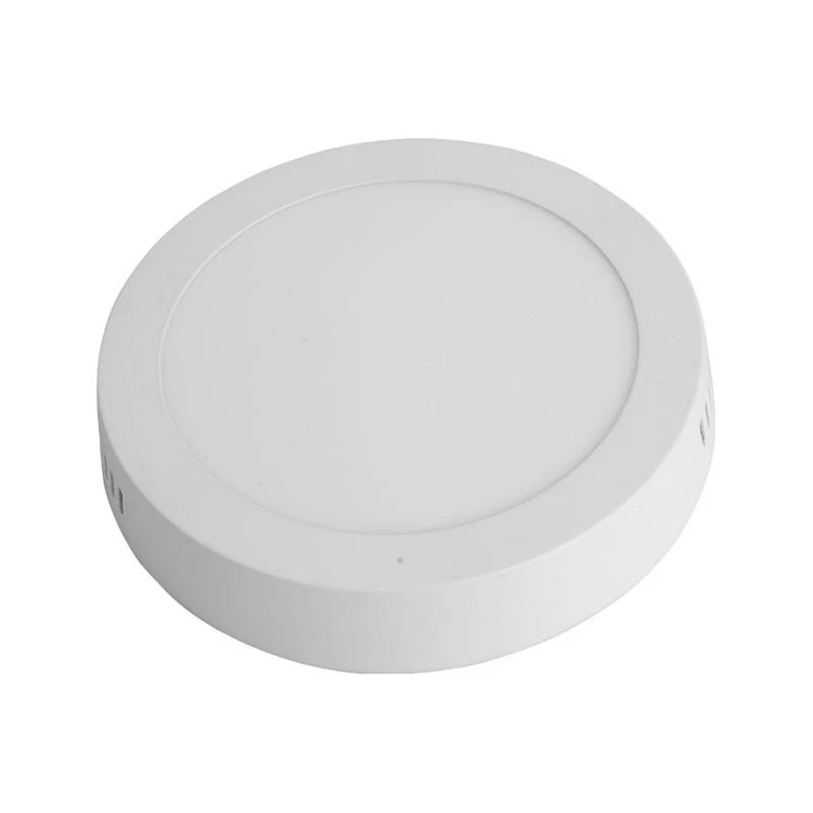 Ceiling Mounted Round LED Light 5