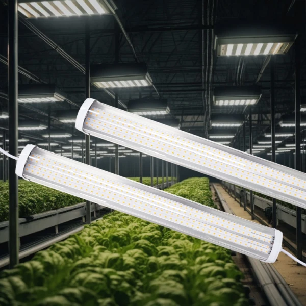 product-600-600 product-600-600