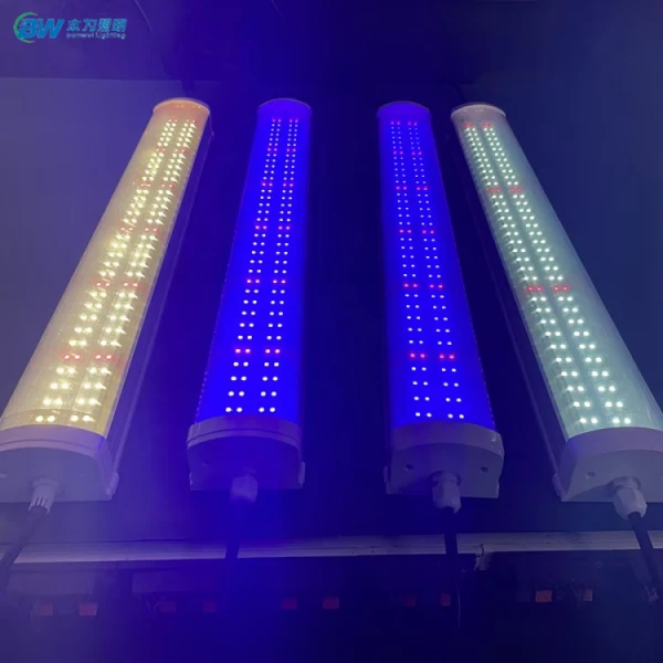product-600-600 product-600-600