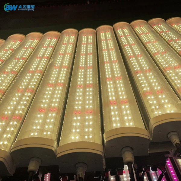 product-600-600 product-600-600