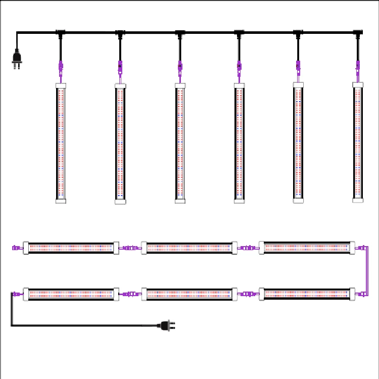 product-750-750 product-750-750