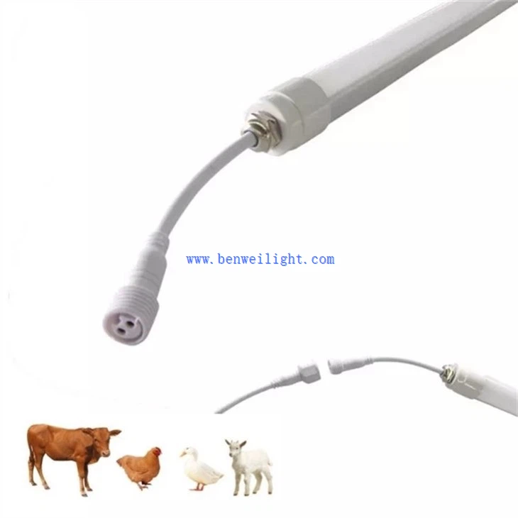 Ranching Lights (1)
