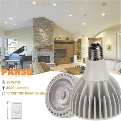 Mentol LED Lampu Sorot PAR30 30 Watt COB (200 Watt Eqv.) Mentol Lampu Banjir 3000 Lumen