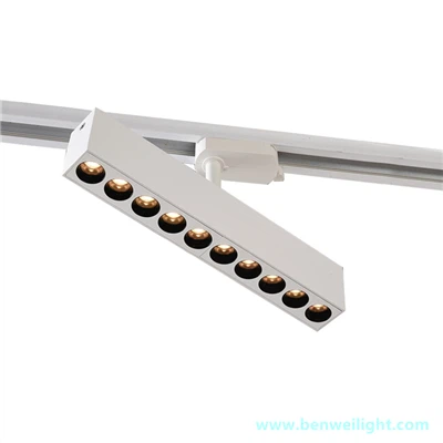 Lekapan siling lampu trek, lekapan lampu trek boleh laras