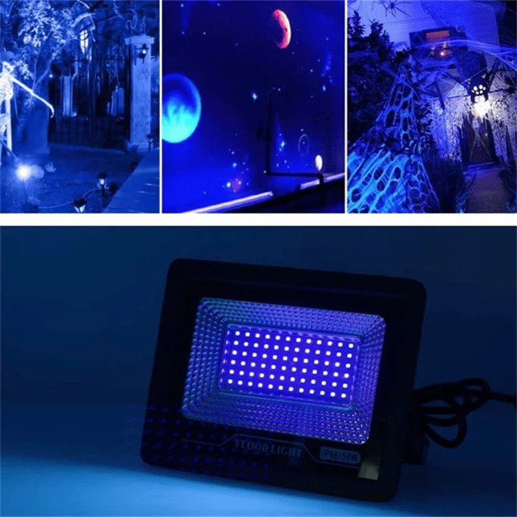 floodlight blacklight