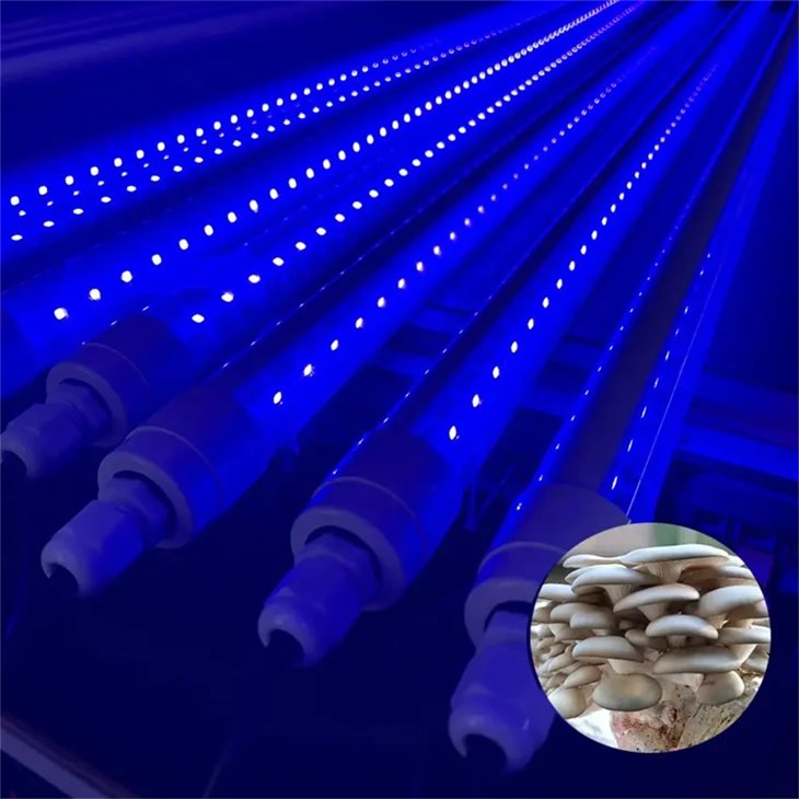 UVC+UVA Dual-Lampu Pertumbuhan Tumbuhan Panjang Gelombang - Khusus Untuk Penanaman Cendawan