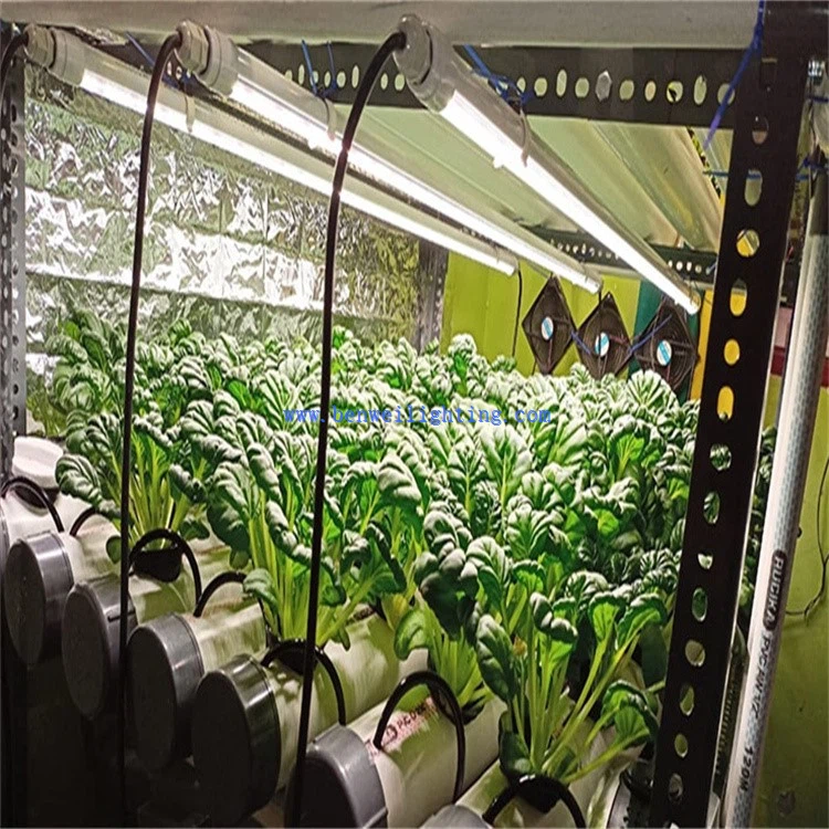 grow led tube installation 4